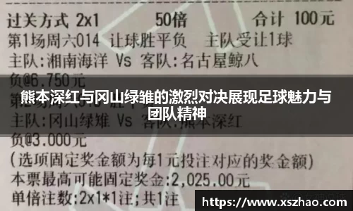 熊本深红与冈山绿雏的激烈对决展现足球魅力与团队精神